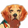 beagle.png