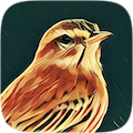 siskin.png siskin.png
